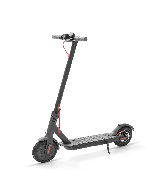 Ekick Electric Scooter