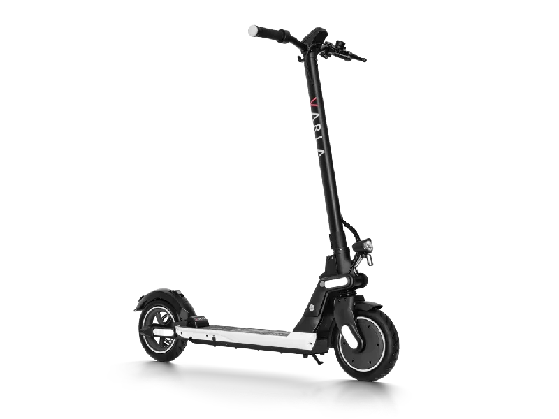 Wasp Portable Electric Scooter