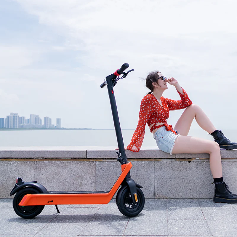 Portable Foldable Off Road Electric Scooter