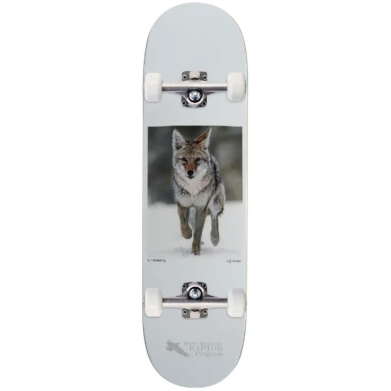 Zero Coyote Thomas Skateboard Complete - 8.50"